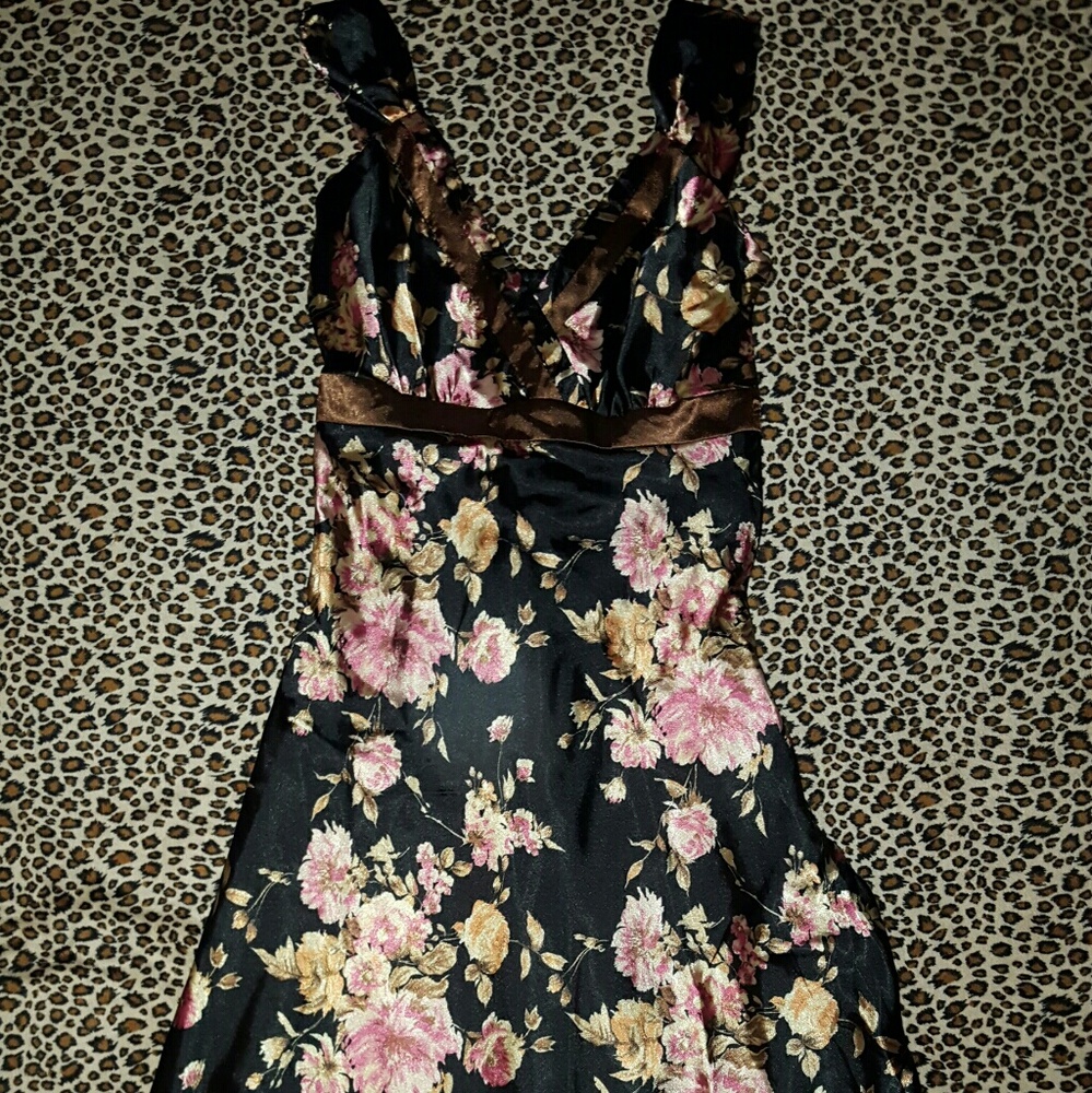 Adorable New Romy Silk Floral Dress